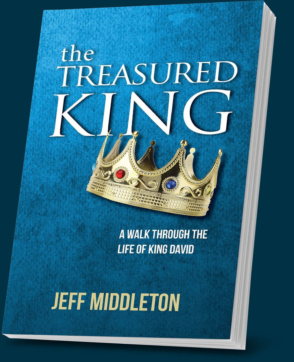 The Treasured King book